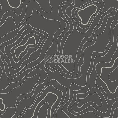 Линолеум Forbo Sarlon Graphic 19dB 919T4319 grey topography фото 1 | FLOORDEALER